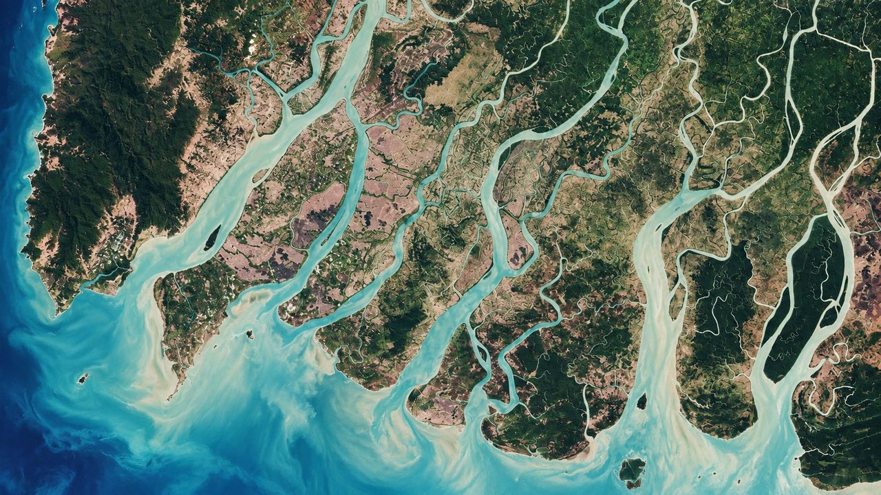 Mangrove channels meeting the sea, from above