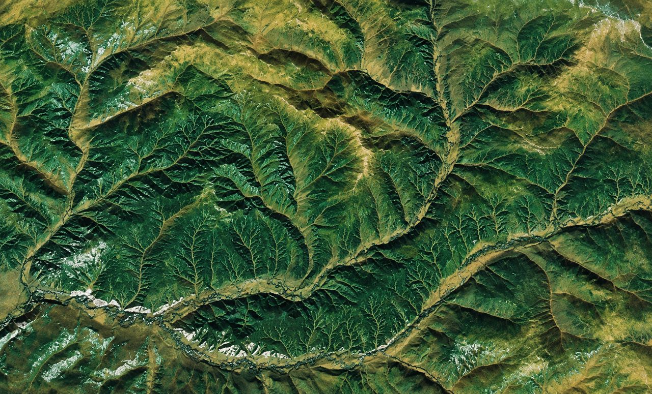 Forested ridges and valleys, from above